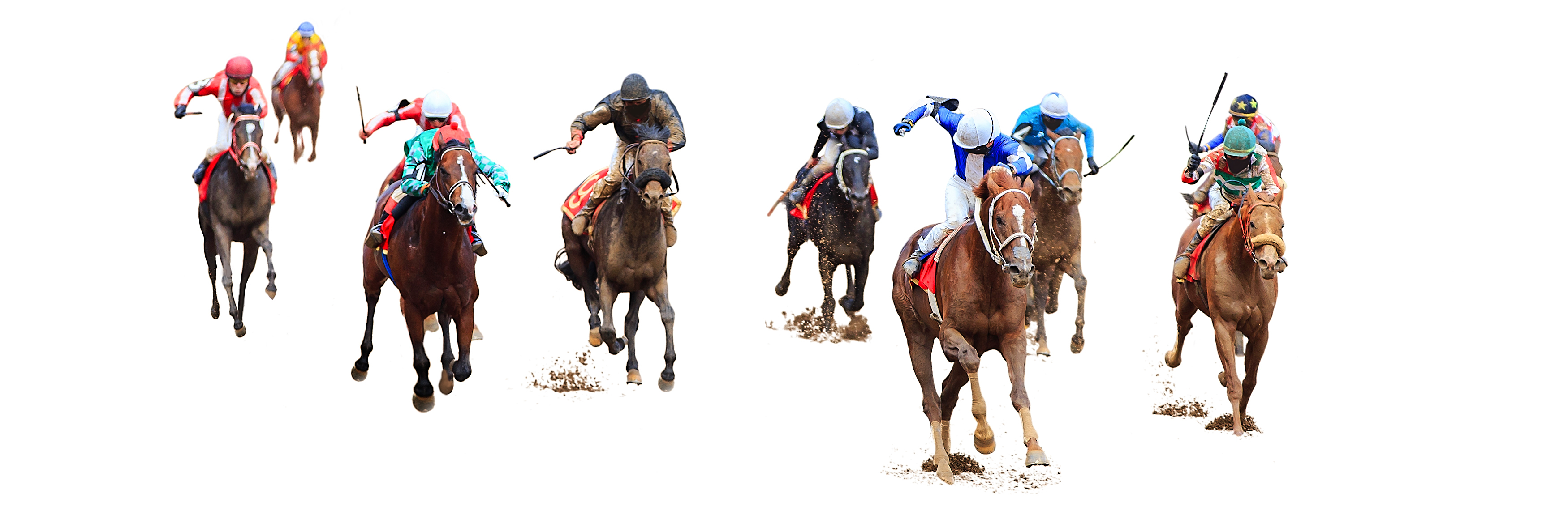 Stylish horse racing action shot